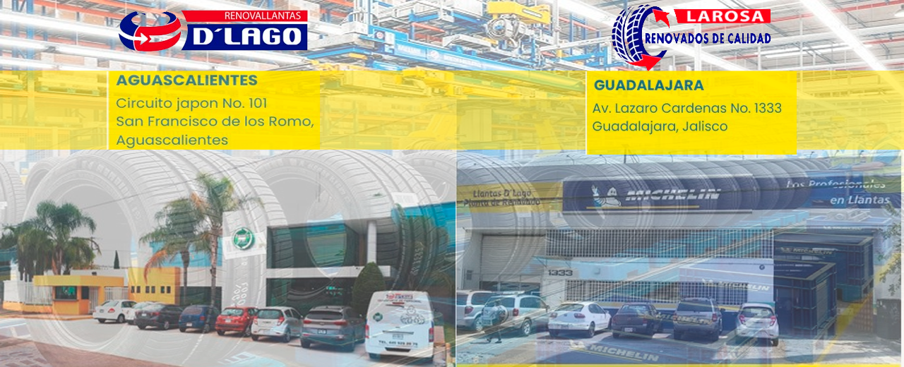 Renovado Michelin